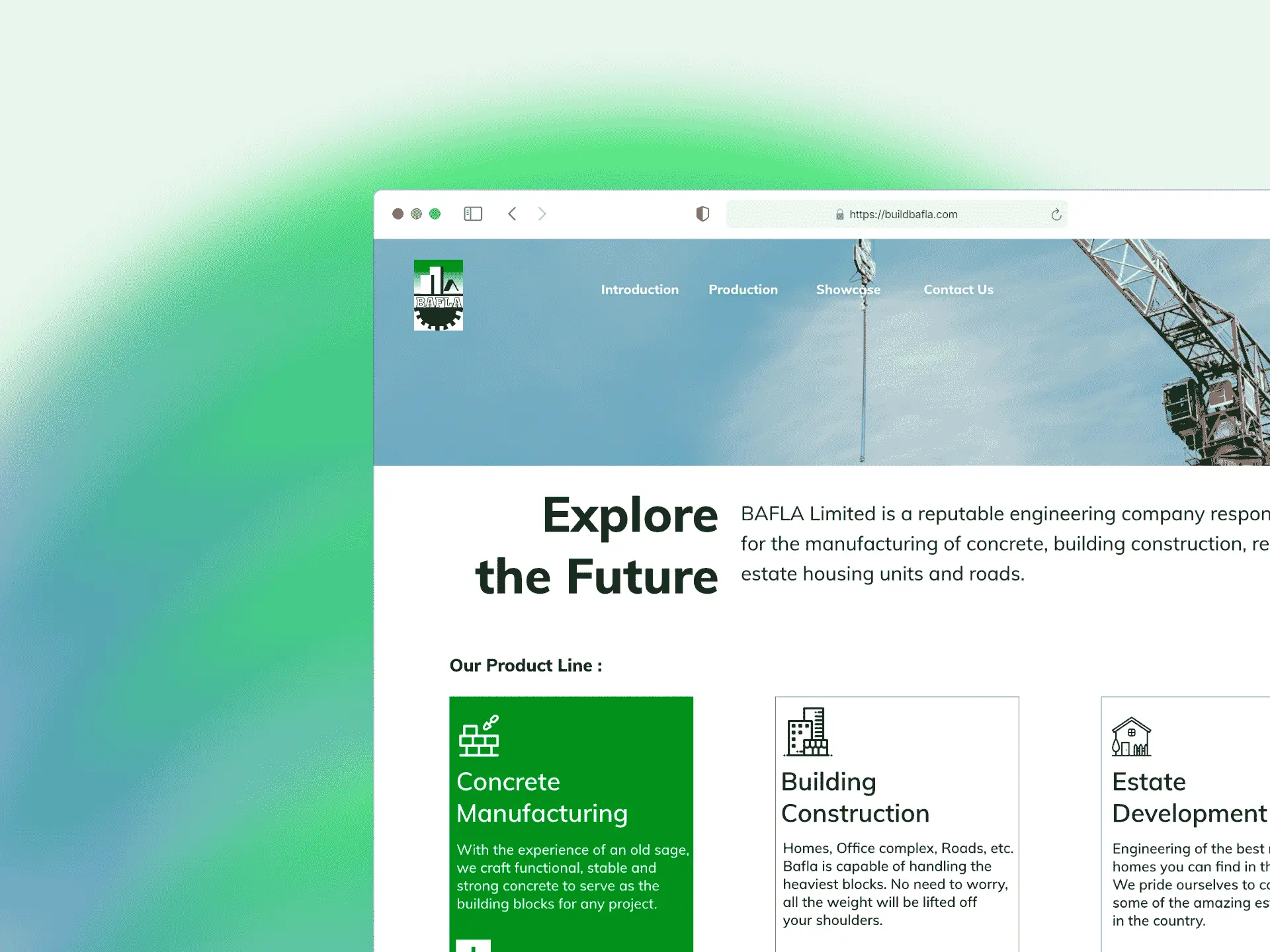 Rarelogyx Website Service - Bafla