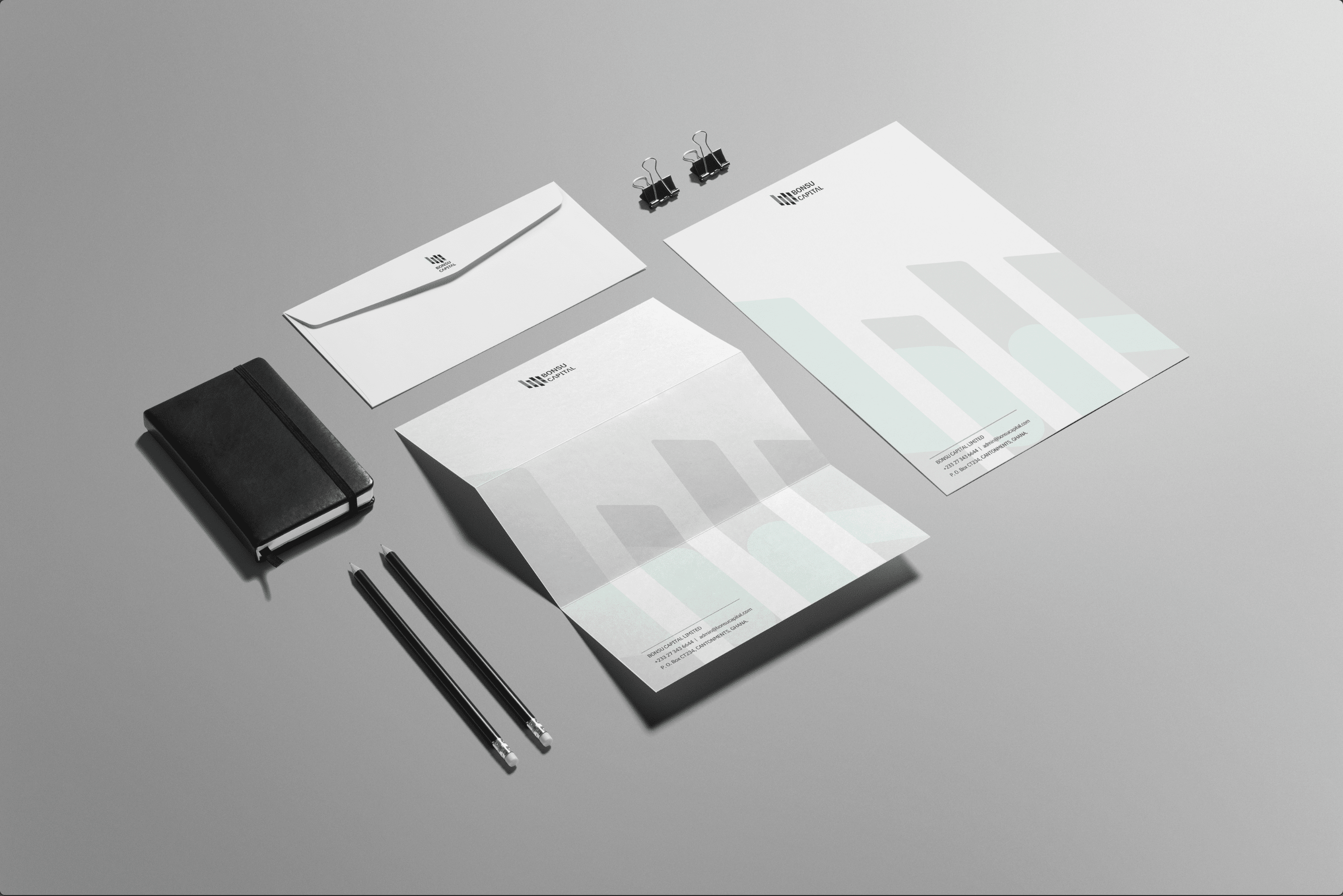 Rarelogyx Bonsu Capital Limited Project Preview Image