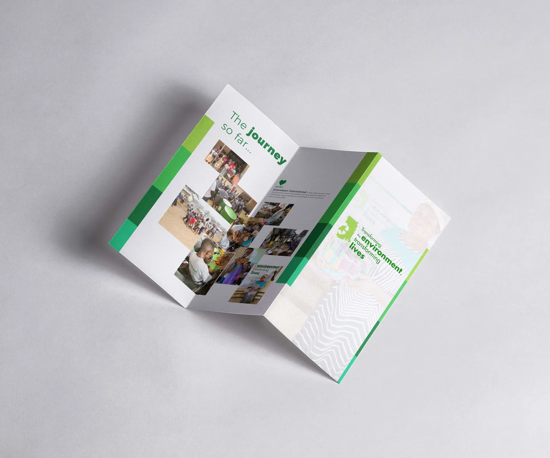 Brand Identity Design /images/ttetl-brochure-front.webp image